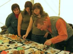 Az érintés hatalma