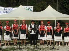 Alma a fa alatt - száll a nóta, búcsúzóul