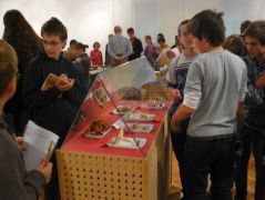 Üveg mögött a mérgező fajok