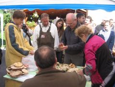 Gombavizsgálat, váltott személyzettel