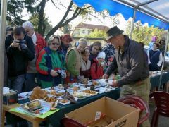 Egy hét múlva - az érdeklődés töretlen