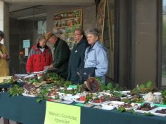 Jöhetnek a látogatók, kész a bemutató