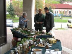 Csendélet az asztalnál