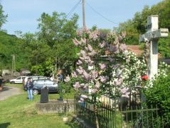 Megnyitó, hangulatos környezetben