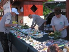 Készül a gombabemutató összeállítás