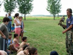 Mi az a csődület a pálya túlsó végén?
