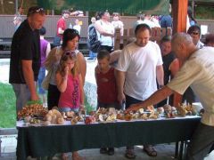 Az érdeklődést fenn is kell tartani!