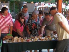 Gyilkos galócák a figyelem középpontjában -