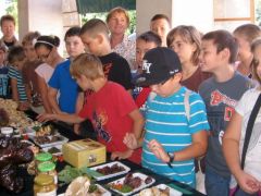 Megindult a rajzás!