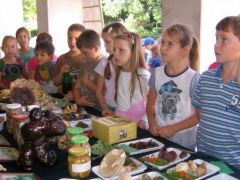 Minél fiatalabbak, annál érdeklődőbbek!