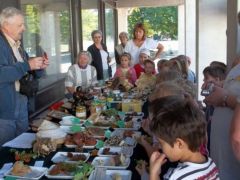 Az alapokról a legkisebbeknek...