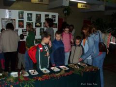 Fölfedezték a pöfetegeket!