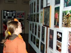 Ez a rajz nyert tavaly!