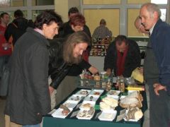 Sárga gévagomba? Most már felismerem!