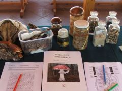 A Mikológiai Társaság feladatlapjait alkalmaztuk