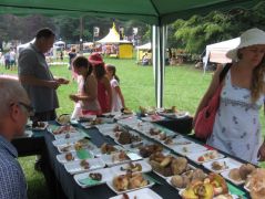 Kilátás a "többiekre"