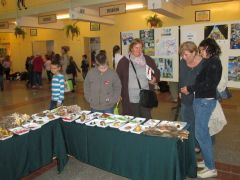 Időnként a felnőttek is odaóvakodtak...