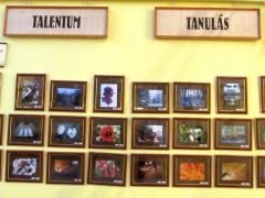 Az iskolai fotószakkör munkái