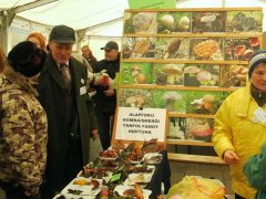 Erőteljesen reklámoztuk tanfolyamunkat is