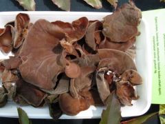 Sok volt belőle és sokan nem ismerték...