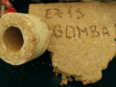 Mikokompozit, a jövő szigetelő anyaga