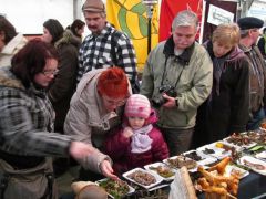 Ez tényleg mind ilyenkor nőtt?