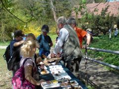 Hol teremnek azok a fránya spórák?