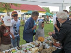 Még éppen csak kipakoltunk...