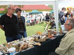 Belefutottak Balázs termesztési ismertetőjébe...