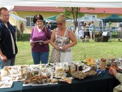 Régi ismerős - kicsi a világ!