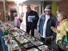 Vegyes képzettségű látogatóink között