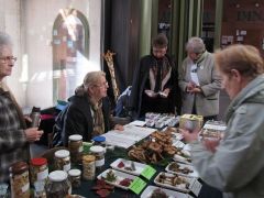 Itt lett a rendezők központja