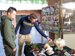 Mókázó gimnazisták