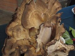 Az óriás mindig jól mutat az asztalon