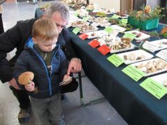 Menthetetlen! Laci őt is megfertőzi!