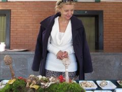 Akit tényleg minden érdekel!