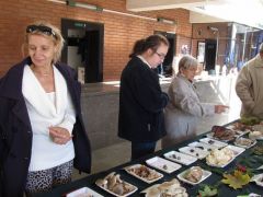 Részletesen végigbeszéltük...