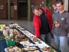 Volt- és jelenlegi tanfolyamosok