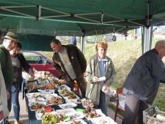 Még nem vagyunk készen, de már jönnek...