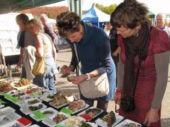 Hasonlítsuk össze - van aki komolyan veszi!