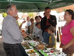 Balázs ma ügyelőnek állt