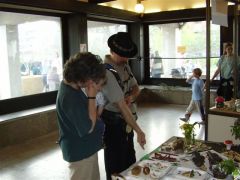 Tavaszi különlegességek