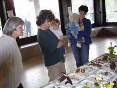 Tetszik kicsinek - nagynak