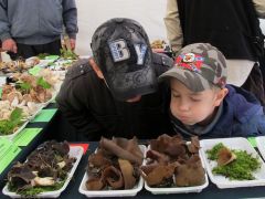 Komoly dolog ez kérem!