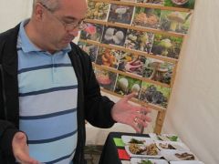 Hol szedtek ennyi gombát?