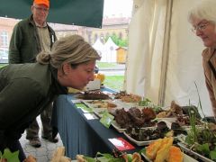 Ott a spórafelhő! Jó móka!