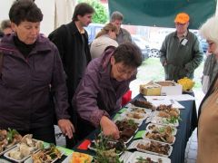 Olyan mintha... Tapintáspróba.