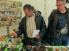 Ehető??? Le szoktam rúgni...