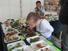 Régen zárni kellene - spóra még mindig van!