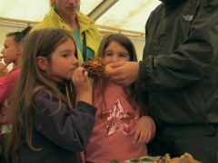 Milyen illata lehetett?